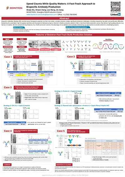 Speed Counts While Quality Matters: A Fast-Track Approach to Bispecific Antibody Production