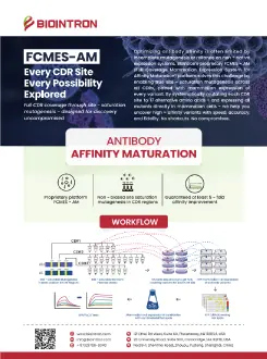 Affinity Maturation
