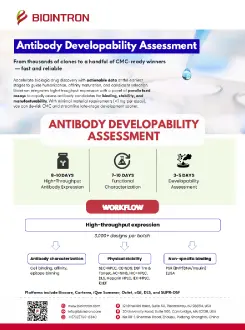 Antibody Developability Assessment