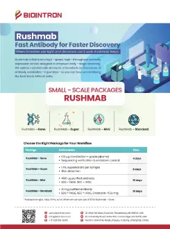 RushMab Small-Scale Antibody Expression