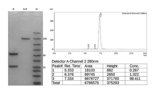 afucosylated-case1-2
