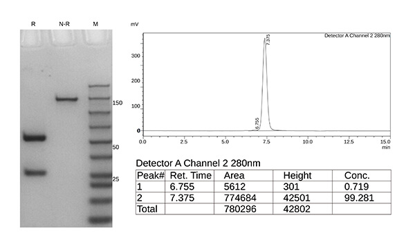 afucosylated-case1-3