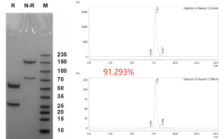 bispecific-case1-1