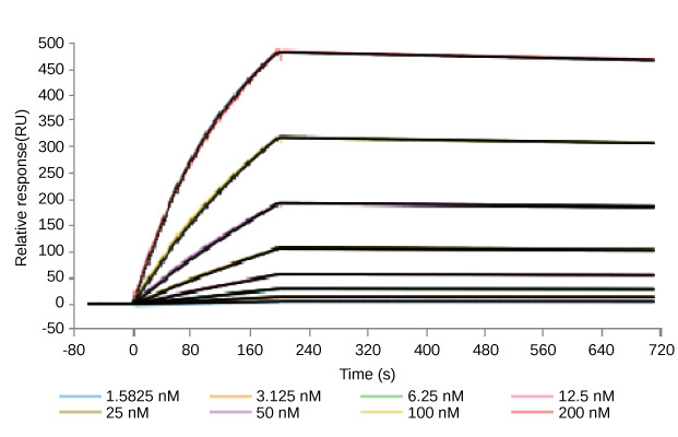 parental antibody KD(2.11E-09)