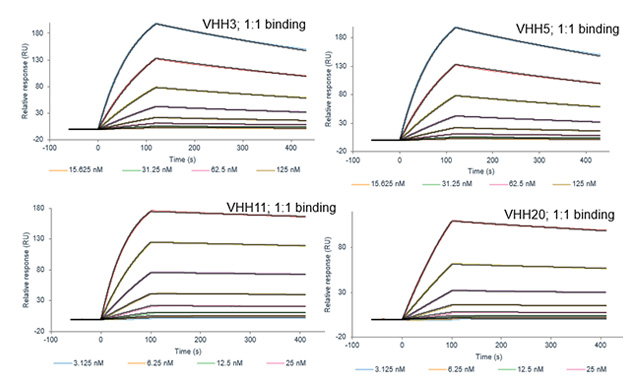 vhh-case1-5